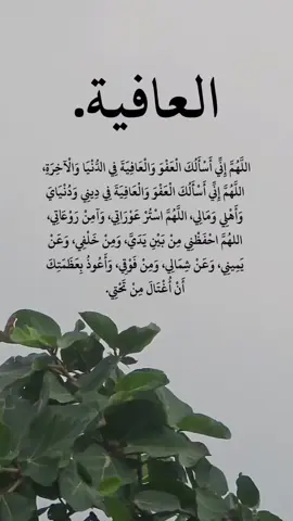 اللهم اني اسألك العفو والعافية في الدنيا والآخرة #العافيه #دعاء #اكسبلور #اذكار_الصباح_والمساء #صباح_الخير 