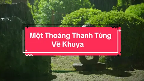 Một thoáng Thanh Tùng Cát Tường Về Khuya ______________ #vuonnhatthanhtungcattuong #tunglahan  #bietthusanvuon #thanhdo #nhadep 