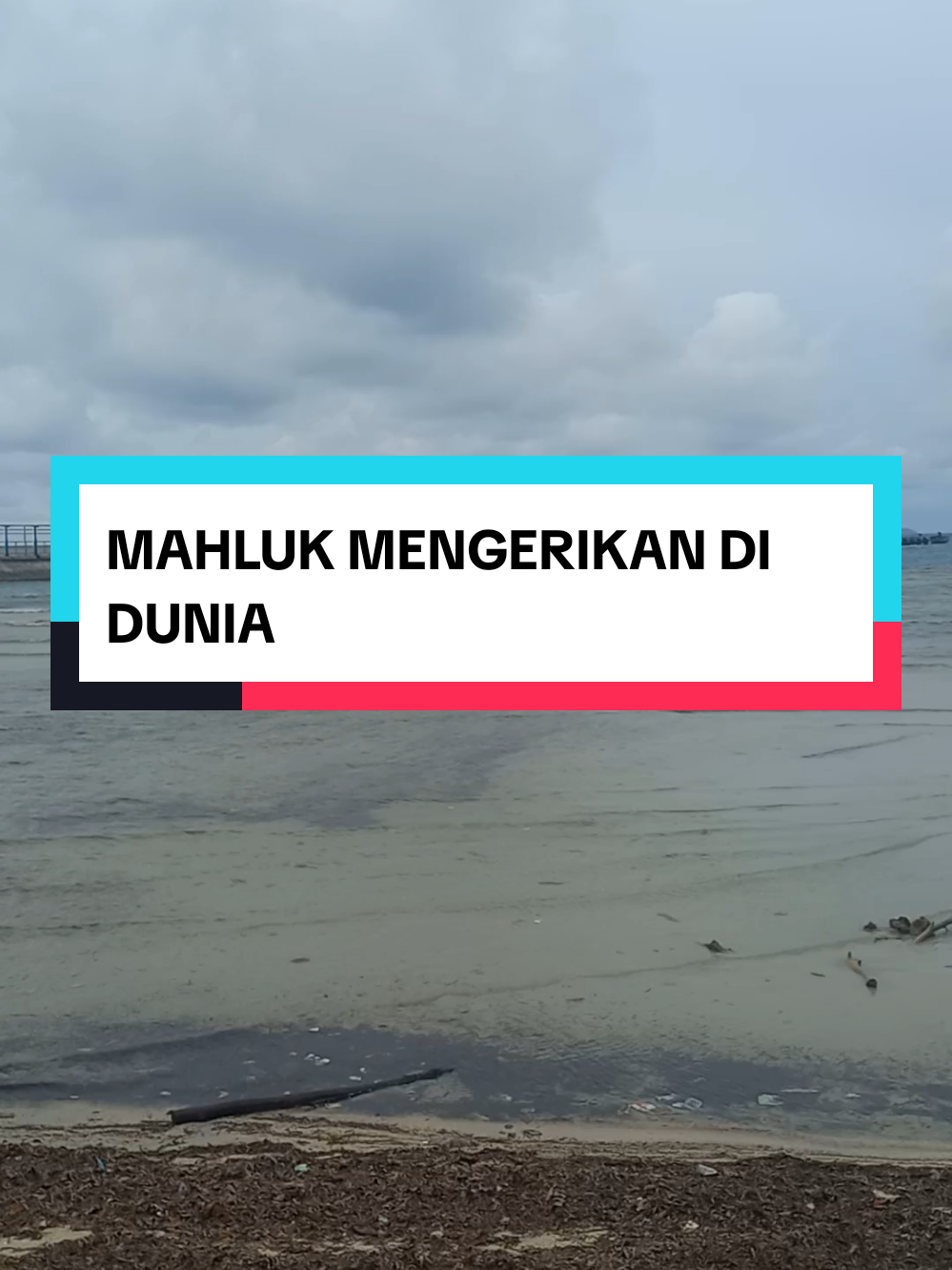 #humor #humortiktok #fyppppppppppppppppppppppp 