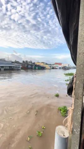 Ai phó sinh biết chỗ này hem#mientay #94baclieu #xh 