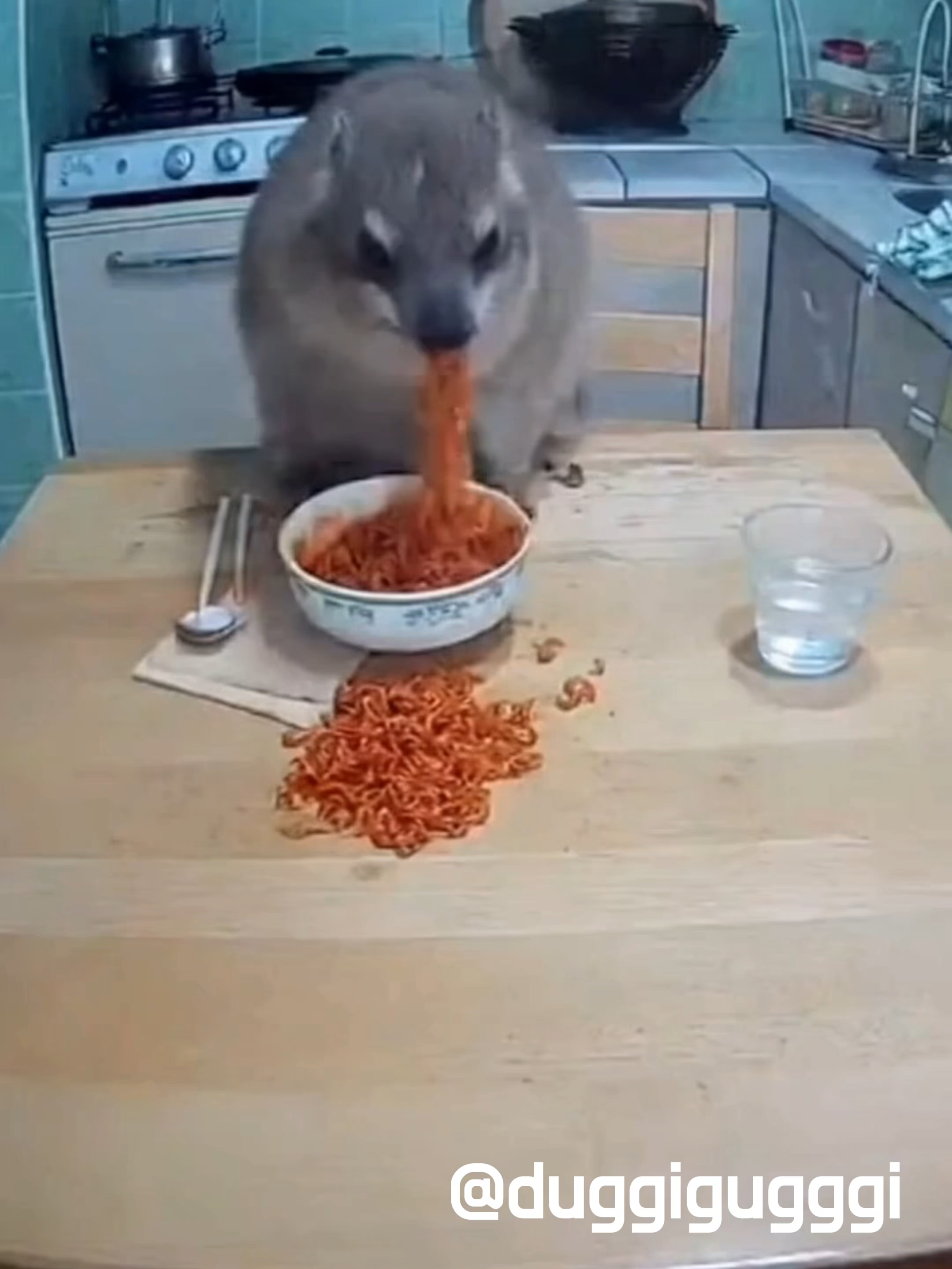 Hyrax tries spicy noodles and SCREAMS “AWAWA!!” 😂🔥 #hyrax #funny #awawa   #rockhyrax