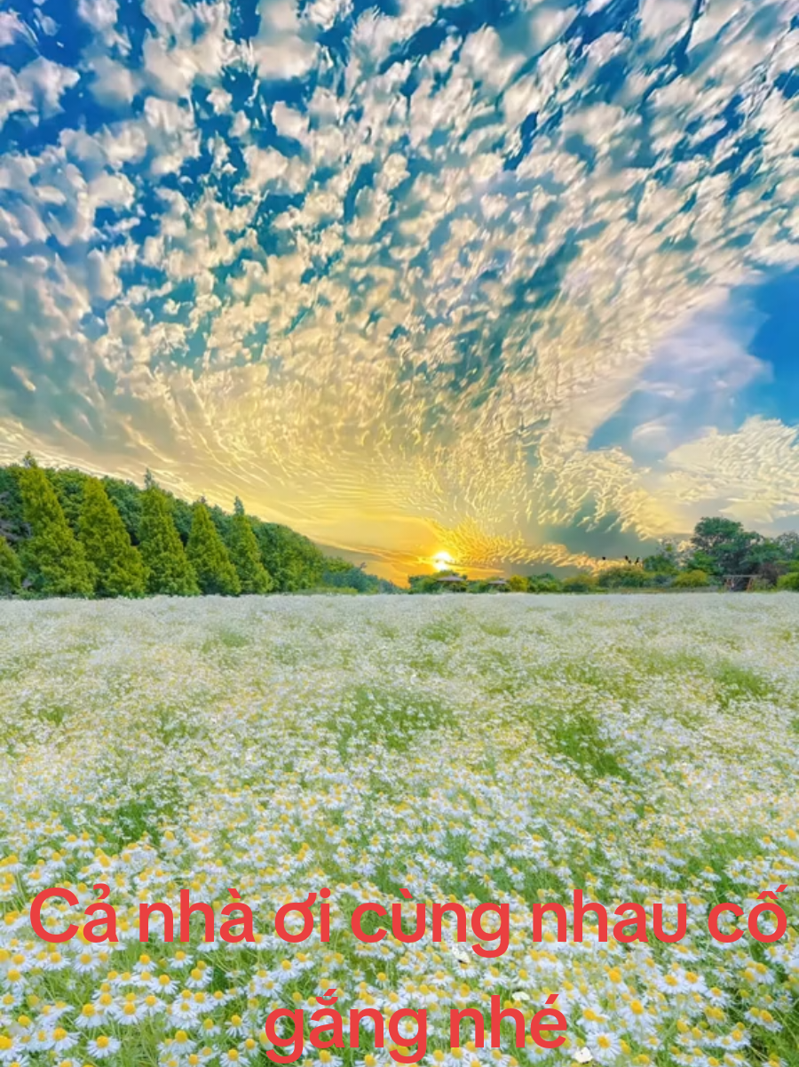 #ngaydauxaykenh #nguoimoixaykenh #hanhtrinhxaykenh #tapxaykenh #ngaydauxaykenh24h 