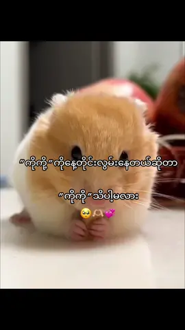 ဟဲဟဲ#fyppppppppppppppppppppppp #tiktok #thinkb4youdo #fyp #နေ့တိုင်းလွမ်းနေတာ 