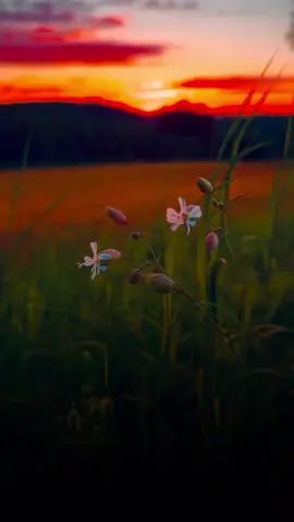 هیی حدد 💔🫠🥹 #foryoupage 