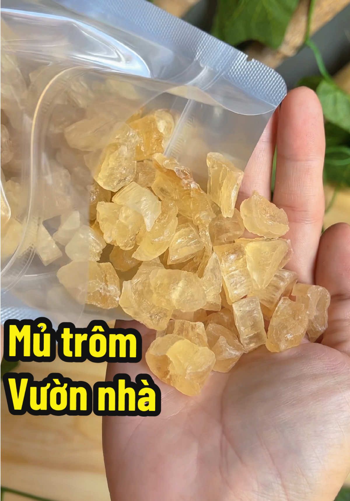 Đàn pà con gái uống trà sữa tối ngày hà, nghe tui đi uống mủ trôm hạt chia này nó mát, nó tốt dữ lắm #tiktokfood  #reviewdoan  #mutromhatchia  #mutrom  #honghariviu 