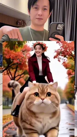 Tutorial on Making the 