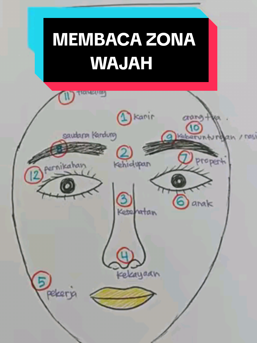 MEMBACA ZONA WAJAH #fengshui  #wajah 