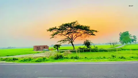 প্রকৃতির সব কিছুর মধ্যেই কোনো না কোনো আশ্চর্যজনক কিছু লুকিয়ে আছে