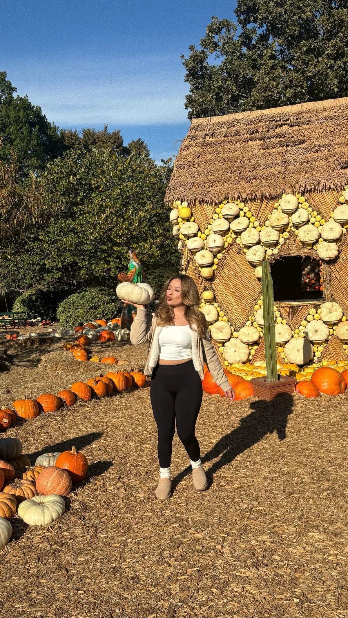 pumpkin patch szn 🎃 🧡