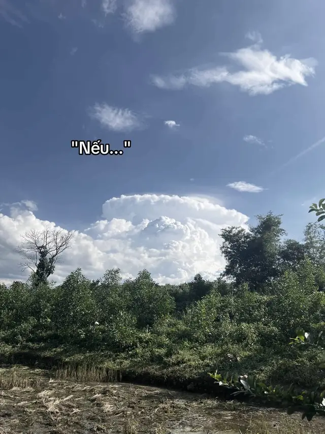 quayvelai2018😫 #ddnxuhuong 