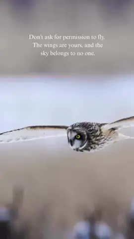 The path is yours always  has been. #Stopwaiting  #Forpermission  #Theskyisopenand  # Your stepsare #Thegreenlight  #Fyp 