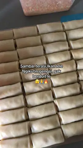 RISOL ROYS Open jam 1 an ya cahh lokasi dipinka tulungagung bagian utara dpn dinas kebersihan yaa🫵🏻✨tak tunggu seranganmu cah🥰🙏#risolroys #pinkatulungagung #kulinertulungagung 