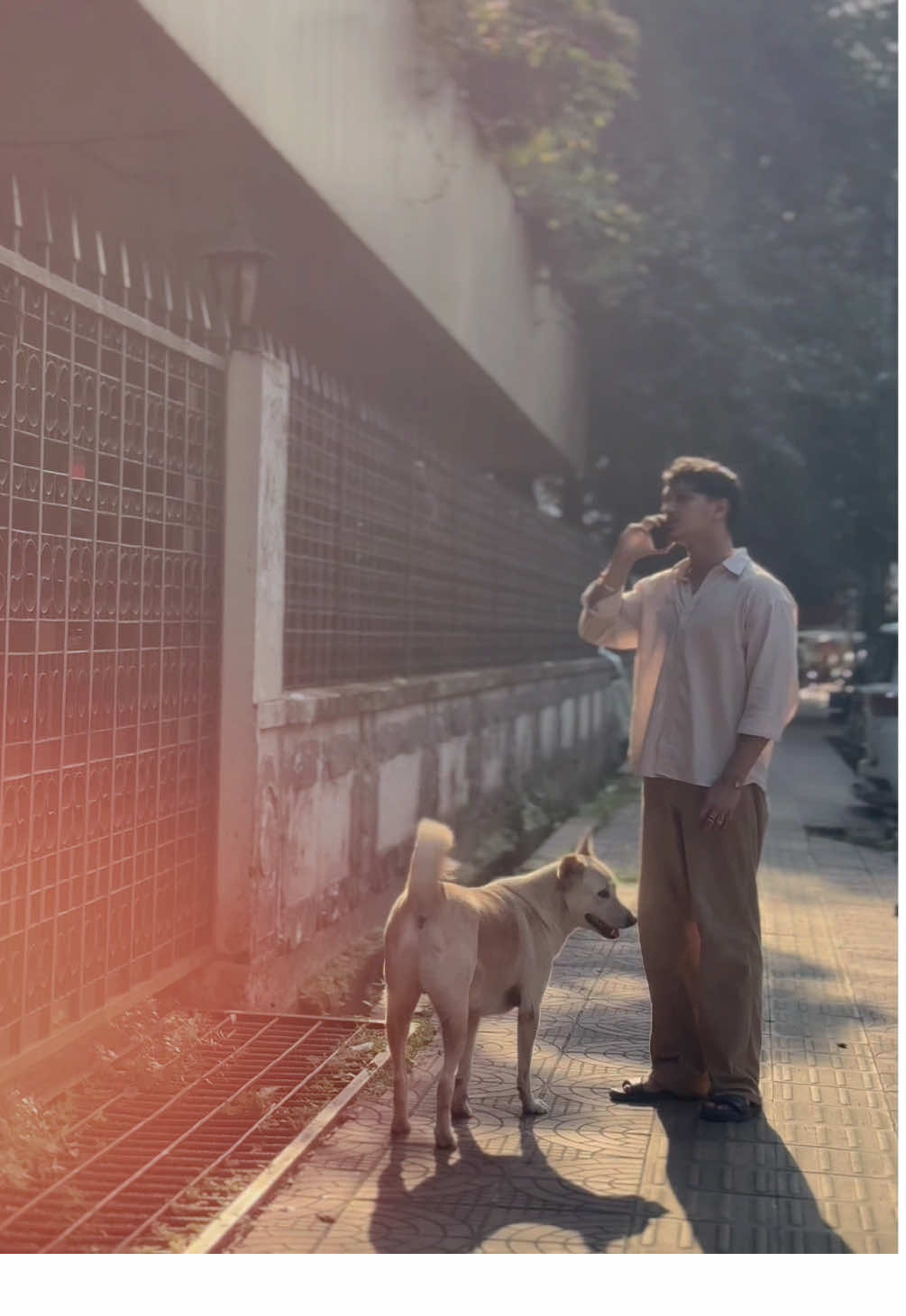 Backup Kobe hoiselo? 