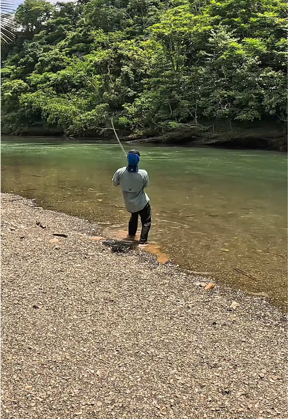 Suara ledakan sambaran dan tarikan ikan ini selalu bikin nagih dan tidak pernah membosankan. Rodnya menggunakan black jack gs 15-30lb darinya @Jacks Vision Indonesia  Dan trip kali ini saya masih di temani @Batanta Fishing 🔥 #fishingtrip #casting #fyp #spottailbass #maluku 