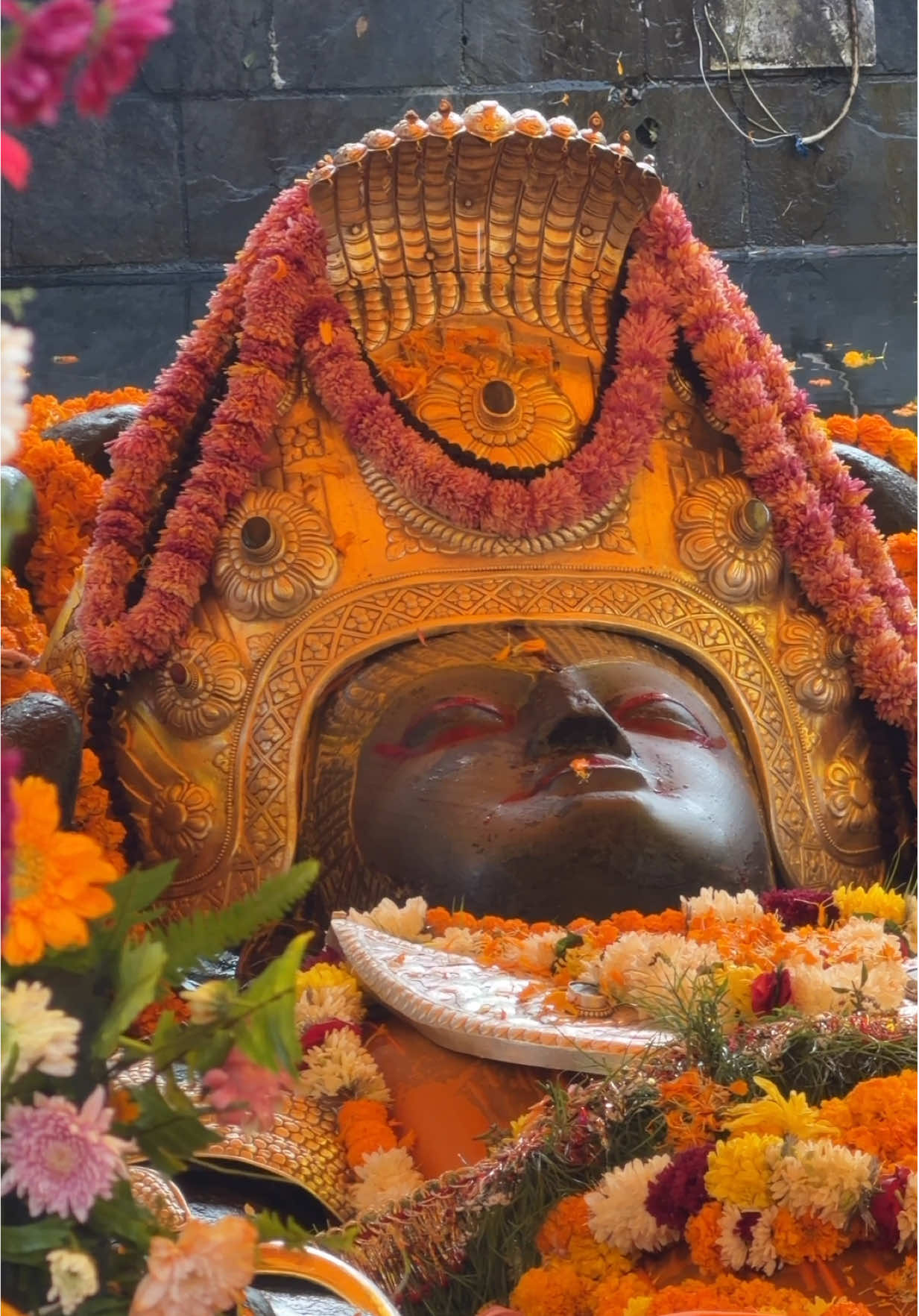 #creatorsearchinsights Haribodhini ekadashi #narayan #budhanilkantha #ekadashi #blessings 