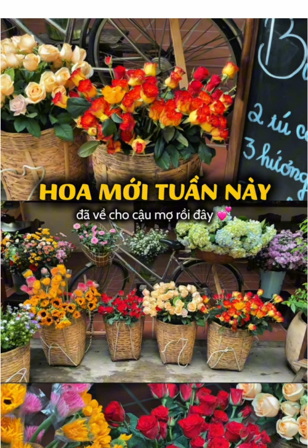 39K thôi mà mang về cả một vườn hoa 🌸 Hoa nào cũng tươi, góc nào cũng xinh – tha hồ chọn, mix & bó theo style riêng 💐 Check-in một góc là có ngay tấm hình “chill hết nấc” 💕 Từ Thứ 5 đến Chủ nhật hàng tuần, Về Nhà mở Buffet Hoa chỉ 39K – cậu mợ ghé liền nha! 🌿 #Venhacafe #cafequan7 #workshopvechau39k #buffethoa39k #checkin 