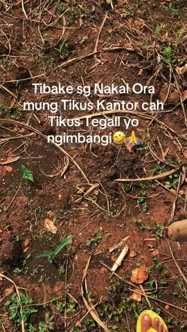 #petaniindonesia🇮🇩🇮🇩🇮🇩🌿🌿 #bantuinfypdong #lewatberandafyp #bismillahfyp #foryou Ampun jahat” nggeh 🫣🙏