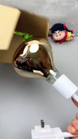 Bóng đèn sưởi ấm #bongdensuoi #densuoinhatam #dungcutienich #giadungtienich #xuhuong 