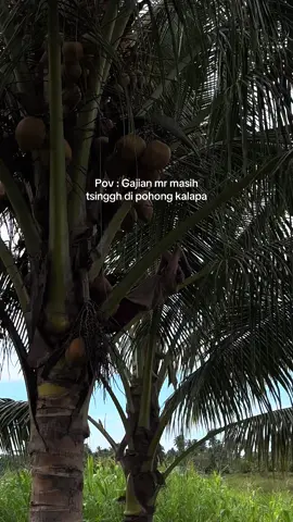 Inpooo gajian😭  #manado_sadap🔥 #mantan #fyppppppppppppppppppppppp #creatorquotessulut #baterektipis😅 