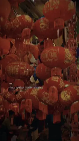 Nghe nhạc là thấy tết #tongkhomia #phukientetmia #trangtritet #xuhuong 