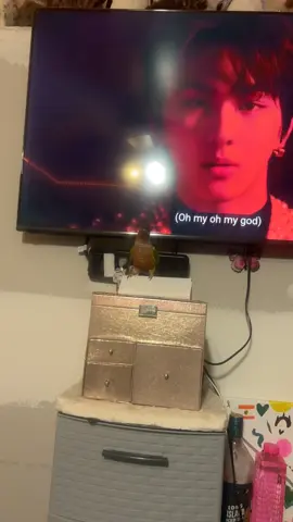 My bird thinks he’s the 8th member of Enhypen #biteme #parrot #enhypen #conure #funnybird 