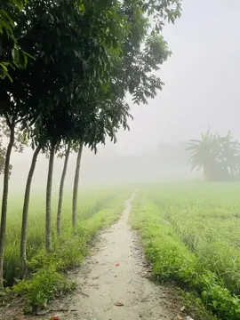 অতি প্রিয়'রা কুয়াশার মতো হয়, দেখা যায় কিন্তু ছোয়া যায় না ❤️‍🩹🌸 #islamic_video #Foryou 