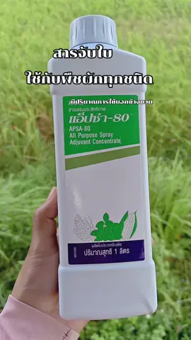 #แอ็ปซ่า#สารจับใบ