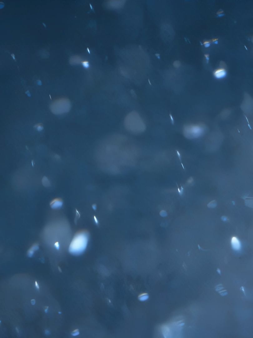 I'll Never Cry Again | topaz bugging bro so I had to use a plugin to uscale.... trenches😓 | @yuraaaep @geno_visuals @kurofxx @droidskii @qhlqzzz @triski.vfxxx @avri.fx @stacksdoesroto @ixfinity.fx @fuyuoffic1al @huann.fx @a1_ghoul @spinny.fx @sellinonb @sheluvketsu_ | #bringbackrotos #rotate #sumnsight #edit #fyp #naruto #weekend #slideshow #anime #foryou #capcut #nfl #fantasy #season #growth #clone