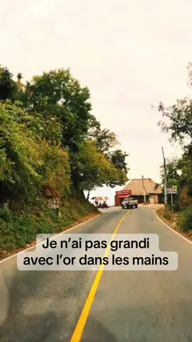 J’ai un coeur ❤️ de Lion🦁 #coeur#lion #enfantsheureux #pourtoi #musiquefrancaise @JB le motivateur 