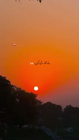 درختوں کی طرح نبھاتے ہیں ہم تعلق اپنا 🖤 جہاں قائم ہوں وہاں صدیوں قائم رہتے ہیں 🌷 @𝙈𝘼-♛ #foryou #foryoupage #poetry #poetrystatus #unfreezmyaccout 