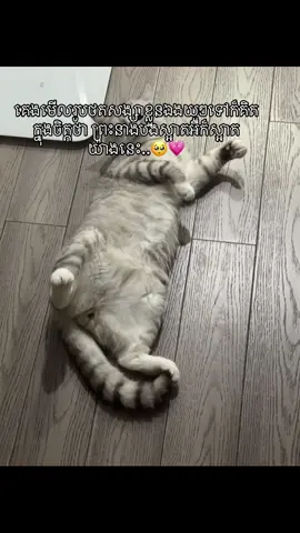 🥺💗#fypシ #vairal #fyppppppppppppppppppppppp #som❤️mnak_muy_mk👌❤️🆗 