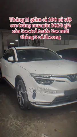 Giảm 100 củ trong tháng 11#thinhhanh #xuhuong #ThànhMinvinfast #xuhuongtiktok #vf8 