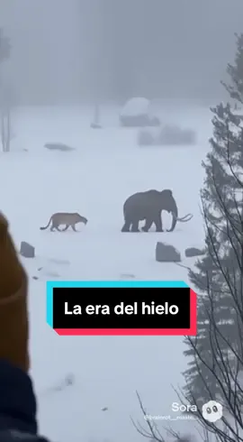 Avistamiento cerca del Valle Nevado en Chile, septiembre, 2014. Mani y Diego merodeando 🦣🐅 #eradelhielo #iceage #mamut #tigre #dodo