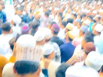 #তারুন্যের_প্রথম_ভোট_দাড়িপাল্লায়_হোক✅🤟 #বাংলাদেশ_জামায়াত_ইসলাম🇧🇩🇧🇩 #দাঁড়িপাল্লায়_মার্কা_ভোট_ছাই🤟✅ #নোয়াখালী_বেগমগন্জ_৩_আসনের_এমপি_প্রাথী_বোরহান_ভাই✅✅ #বাংলাদেশ_ইসলামী_ছাএ_শিবিব়🇧🇩 