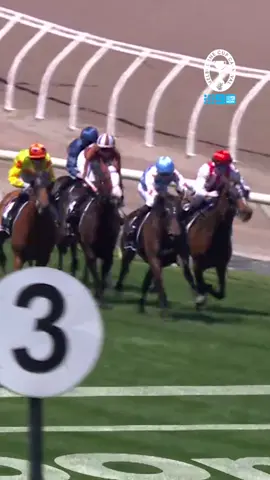 CONVINCING. 😤 🖥️ #MelbCupCarnival | Live and Free on Channel 9 and 9Now. #9WWOS #DerbyDay #Racing