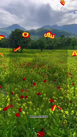 #felizsabado #sabado #iniciodemes #buenosdiasporlamañana #buenosdias 