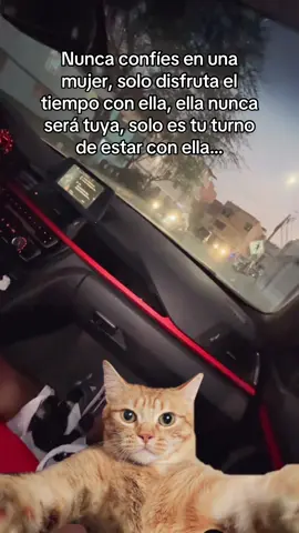 #mentirosas #locas #malas #lasodio #mentiris 