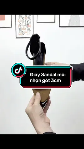 Giày mũi nhọn gót thấp dễ đi thoải mái lắm mấy bà#xuhuong #giaydep #giaycaogotnu #depnu 