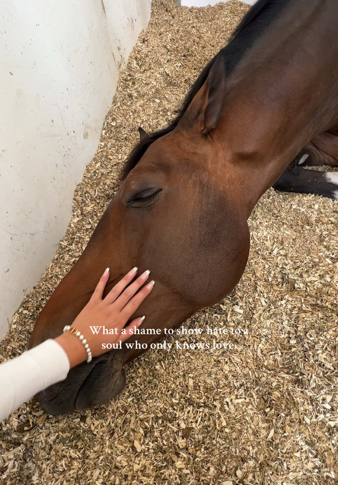 I will never unsee those photos