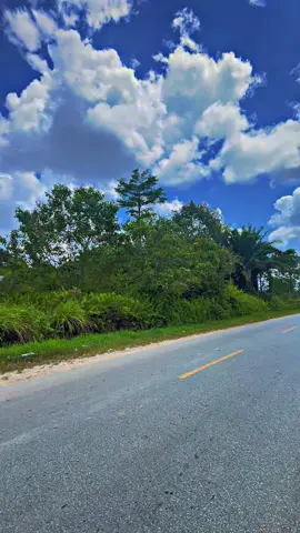 Mohon maaf jika membuat jalanan macet🙏#fyp #viral #ptmas #howo #kapuashulu 