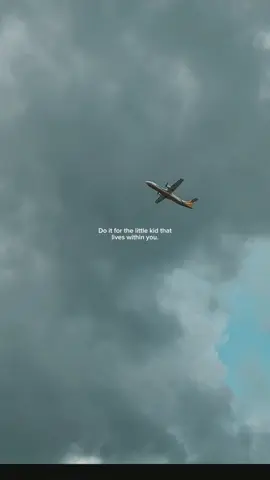 #fyp #aviation #piloto #flightattendant #futurepilot 