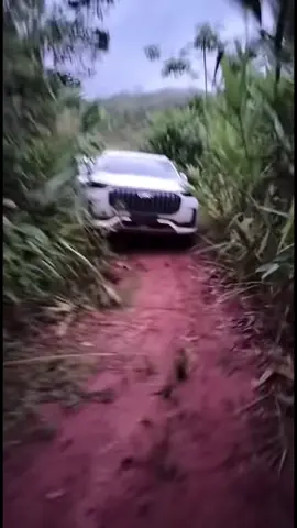 中国安排车进来老挝什么车都能安排🚘