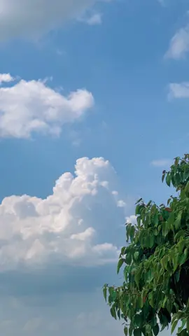 غروب آفتاب سا تعلق تھا ہمارا حسين، مگر تھوڑا سا ادهورا۔ ✨🕊️👀💫#views #meh_alee #fypシ゚ #support_me #unfreezemyacount 