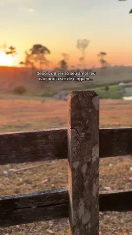 #fyp #zezedicamargoeluciano #viral #modão #amor 