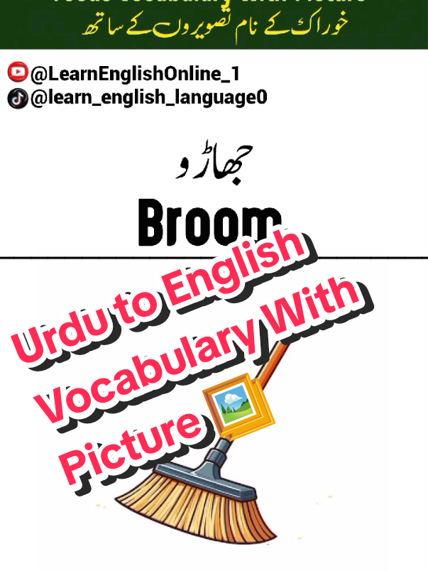 Urdu To English Shorts Vocabulary With Picture 🖼️  #vegetables #language #englishsentences #canada_life🇨🇦 #vocabulary 
