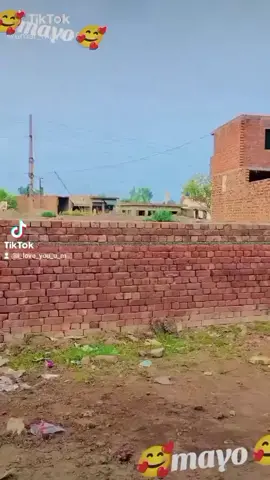 #mayo#foryoupage#foryou#foryoupage 