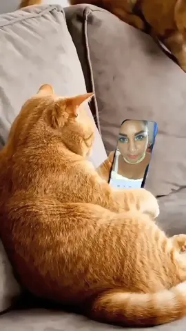 #AnimeSe #CapCut #gatosgraciosos #creatortiktok #paratiiiiiiiiiiiiiiiiiiiiiiiiiiiiiii 