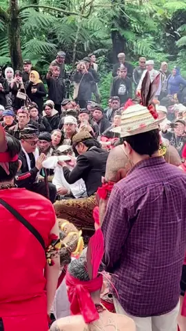 Tari Keurseus lahir dari perkembangan tari Tayuban pada tahun 1920 di Rancaekek, yang diciptakan oleh Lurah R. Sambas Wirakusumah untuk keperluan kursus atau pembelajaran. Tari ini diciptakan karena gerak-gerak dasar Tayuban mulai mengalami kebekuan sehingga perlu disusun menjadi pola-pola gerak baku dan repertoar tari yang memiliki karakter berbeda-beda, seperti Gawil, Kawitan, dan Lenyepan #wonderfulindonesia #ngertakeunbumilamba2025 #senitari #nusantara #fyp @MEDIA OFFICIAL PANGEBUL11 