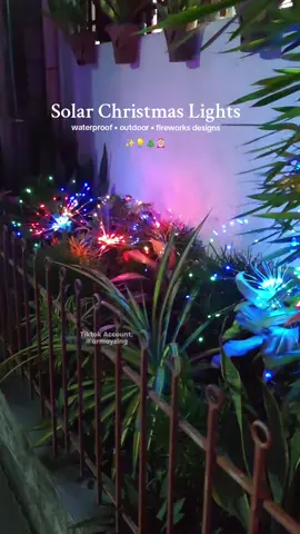 Solar Christmas Lights 🎄✨ Solar operated with LED lights na #solarchristmaslight #christmaslight #solarlights 