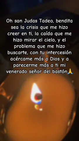 #señordelbaston🤍💚🙏🏻 #sanjudastadeo💚 #milagros 